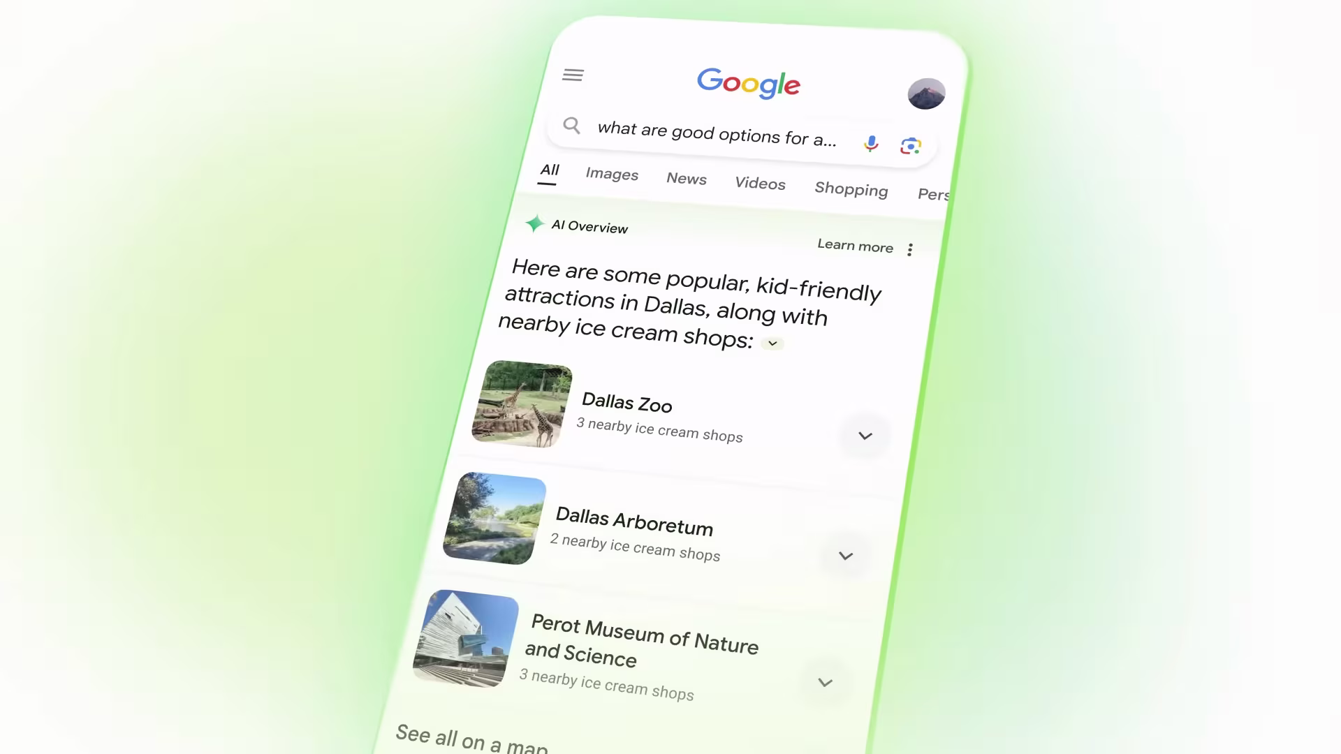 google AI Overview